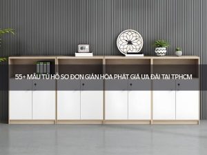 Tủ hồ sơ đơn giản