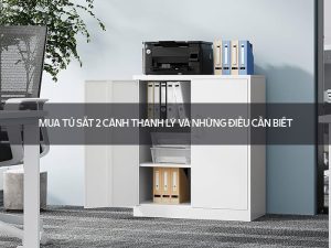Tủ sắt 2 cánh thanh lý