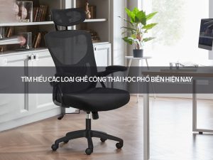 Các loại ghế công thái học