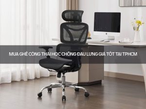 ghế công thái học chống đau lưng