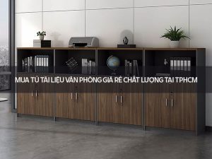 Mua tủ tài liệu văn phòng giá rẻ