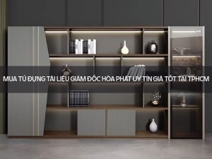 Tủ đựng tài liệu giám đốc