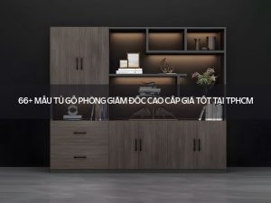 tủ gỗ phòng giám đốc