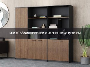 Tủ gỗ văn phòng Hòa Phát