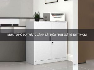tủ hồ sơ thấp 2 cánh sắt