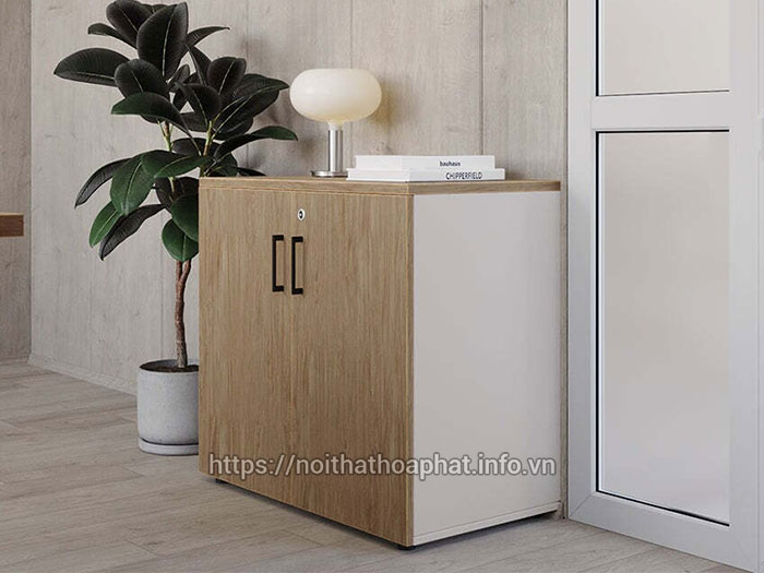 Tủ thấp văn phòng loại nào tốt