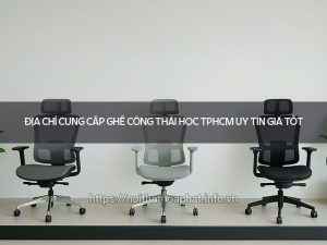 Ghế công thái học TPHCM