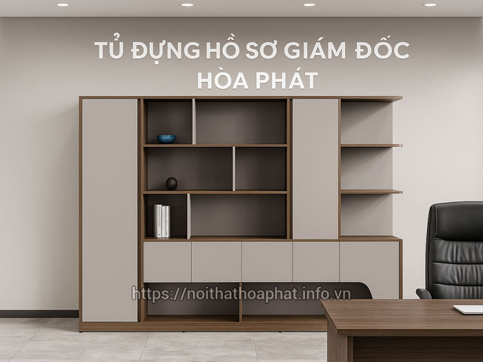 Tủ đựng hồ sơ giám đốc