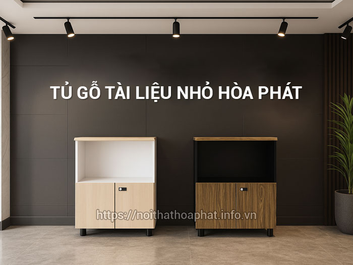 Tủ gỗ tài liệu nhỏ