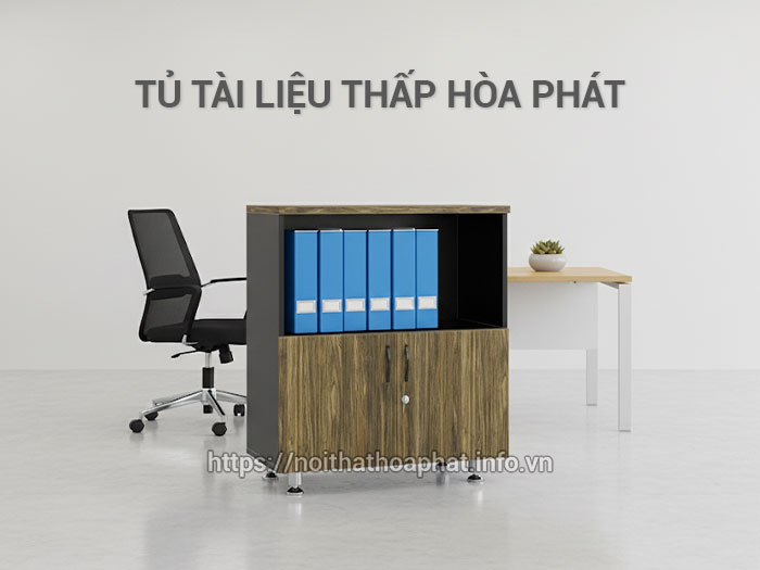 tủ tài liệu thấp hòa phát