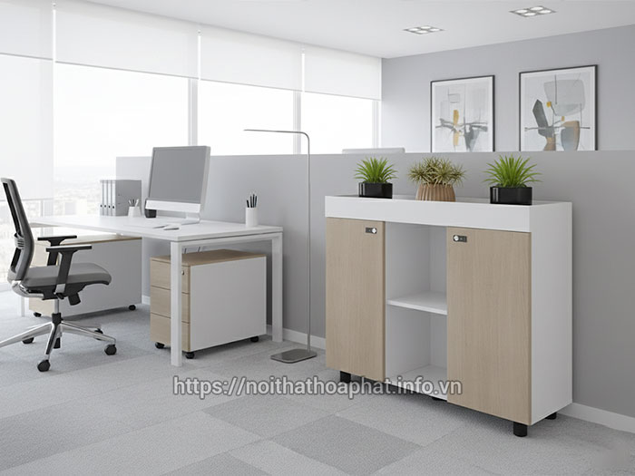 tủ tài liệu thấp hòa phát