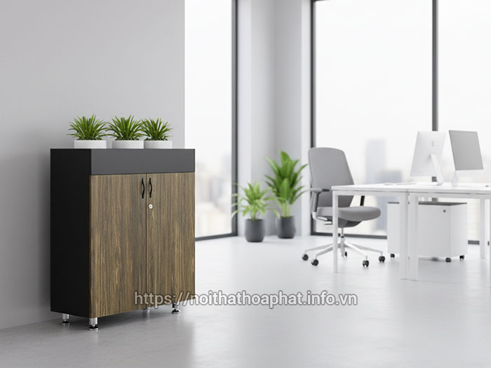 tủ tài liệu thấp hòa phát