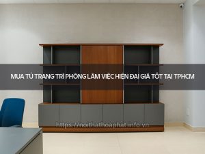 Tủ trang trí phòng làm việc