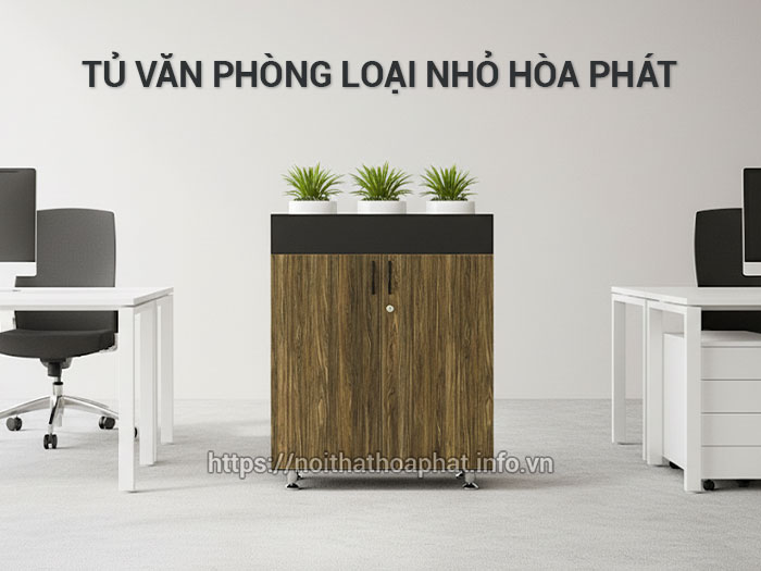 tủ văn phòng loại nhỏ
