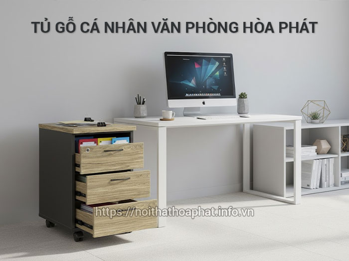 tủ gỗ cá nhân văn phòng