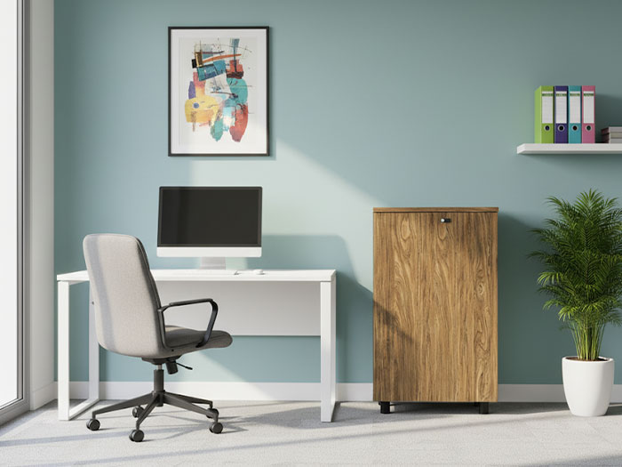 Tủ tài liệu thấp 2 cánh