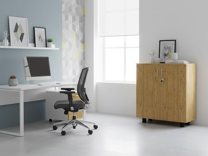 Tủ tài liệu thấp 2 cánh