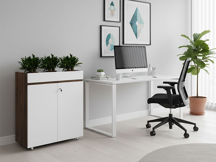 Tủ tài liệu thấp 2 cánh