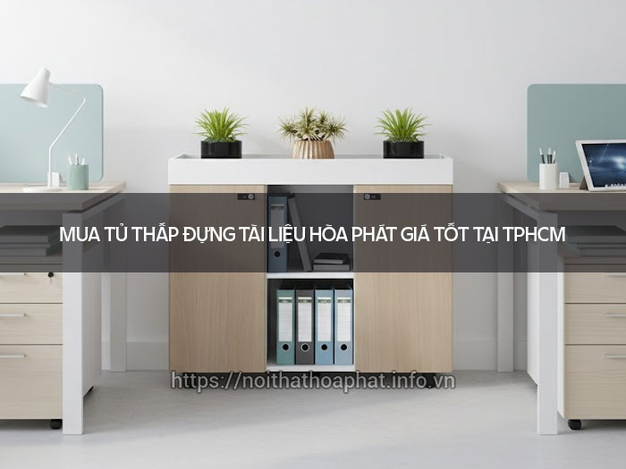 tủ thấp đựng tài liệu