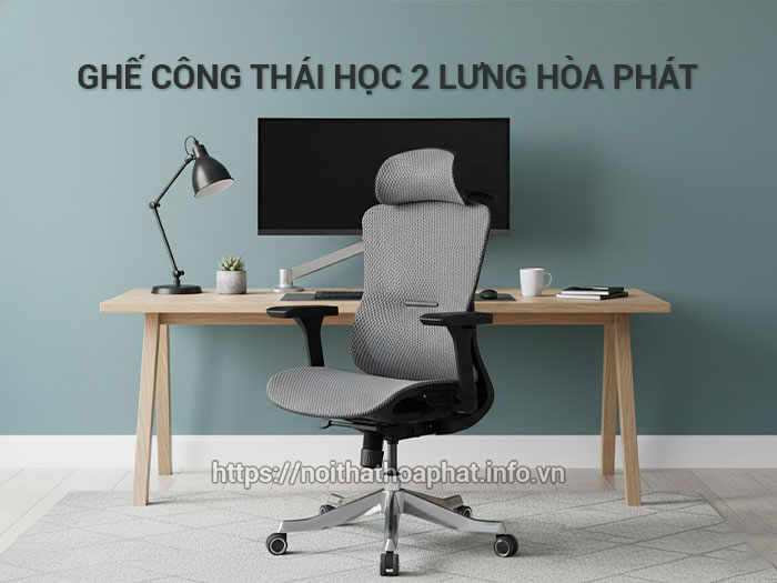 Ghế công thái học 2 lưng