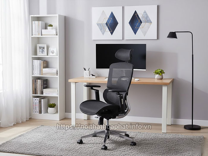 Ghế công thái học 2 lưng