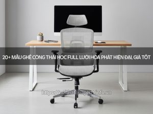 Ghế công thái học full lưới