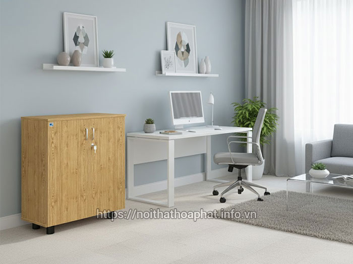 Kích thước tủ hồ sơ thấp