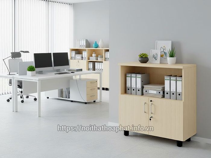 Kích thước tủ hồ sơ thấp