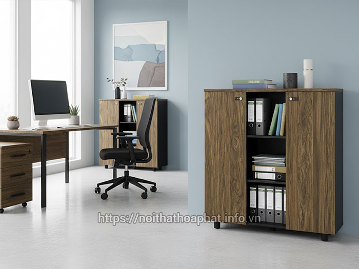 Kích thước tủ hồ sơ thấp