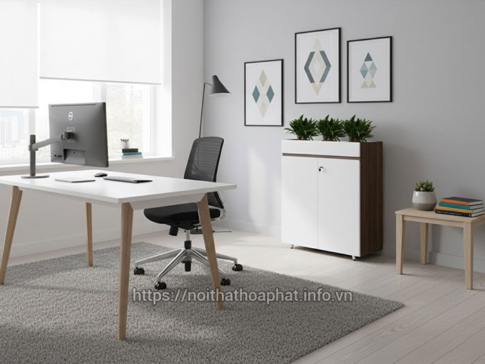 Mẫu tủ đựng hồ sơ đẹp