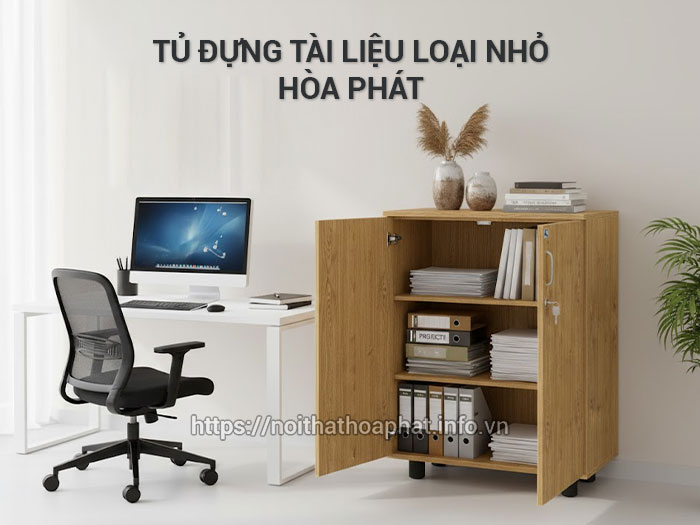 Tủ đựng tài liệu loại nhỏ