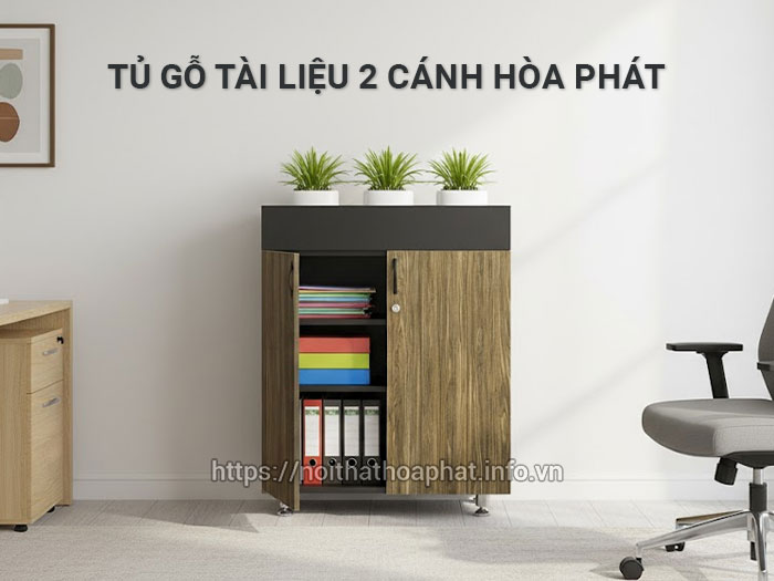 Tủ gỗ tài liệu 2 cánh