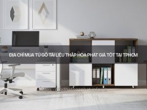Tủ gỗ tài liệu thấp