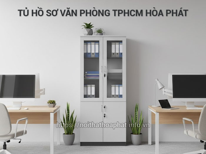 Tủ hồ sơ văn phòng TPHCM