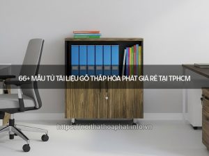 Tủ tài liệu gỗ thấp