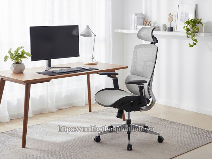 Ghế công thái học có đệm lưng