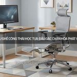 Ghế Công Thái Học Tựa Đầu Gác Chân