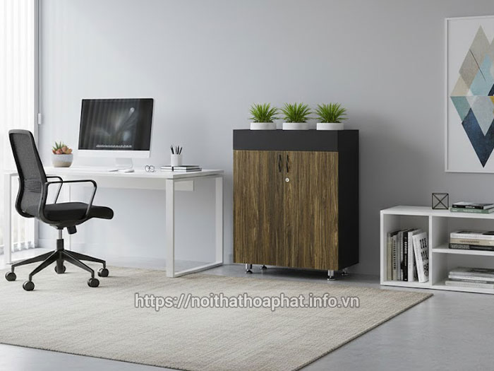 Kích thước tủ hồ sơ 2 cánh