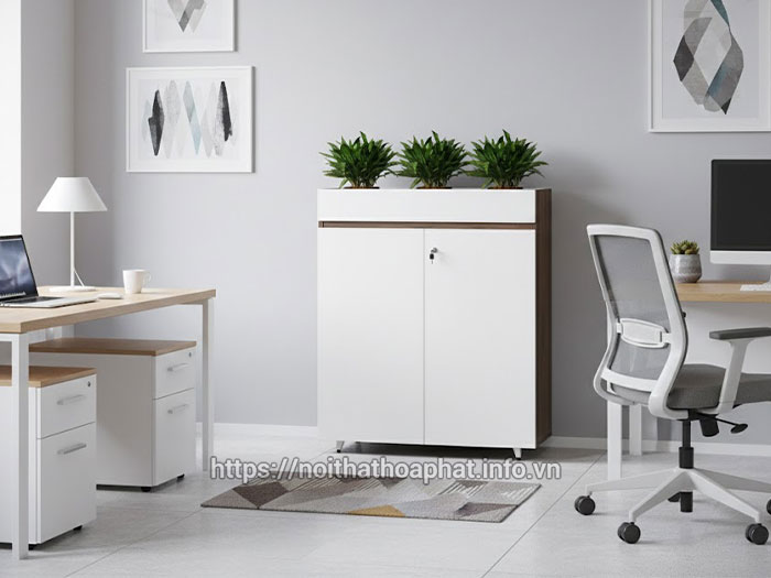 Kích thước tủ hồ sơ 2 cánh