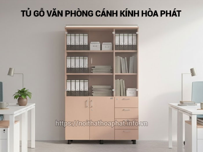 Tủ gỗ văn phòng cánh kính