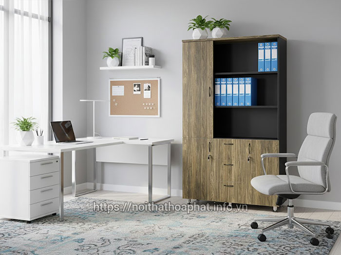 Tủ tài liệu cao cấp