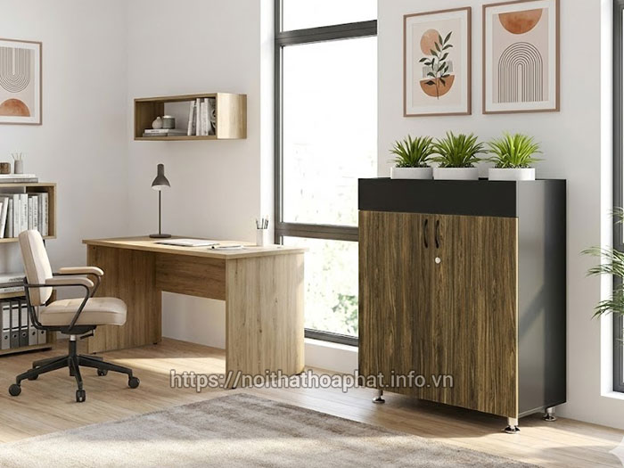 Kích thước tủ tài liệu 2 cánh