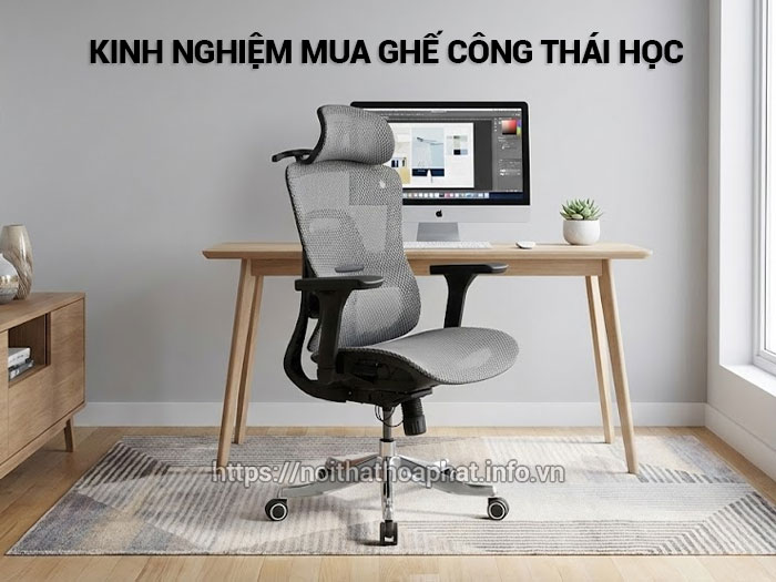 Kinh nghiệm mua ghế công thái học