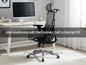 Kinh nghiệm mua ghế công thái học