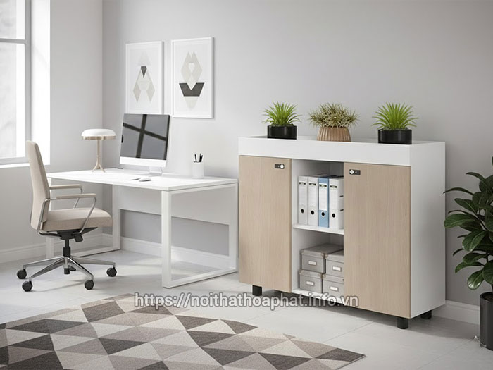 Tủ đựng tài liệu văn phòng hiện đại